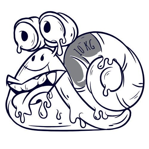 Parche Caracol
